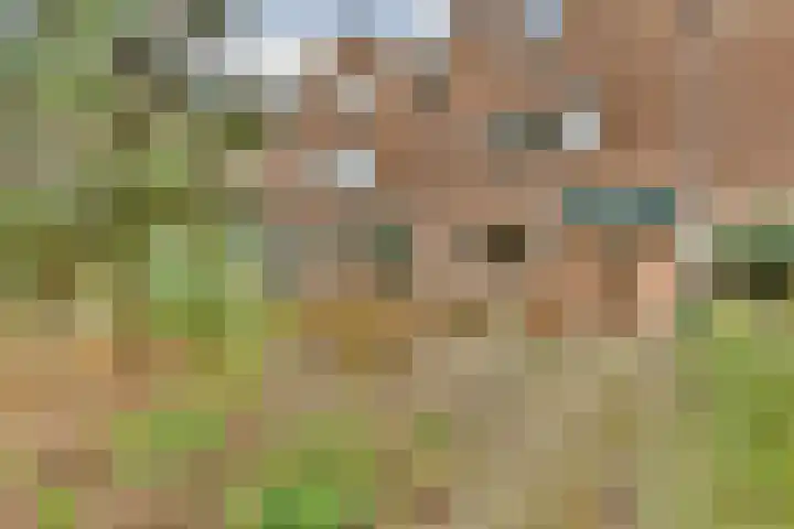 Assumburg 12 Zwijndrecht thumbnail 28