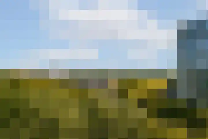 Assumburg 124 Amsterdam thumbnail 13