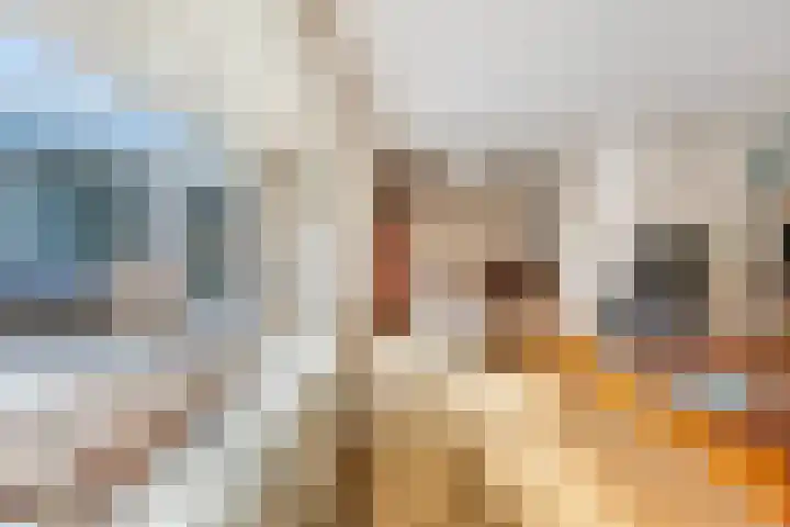 Assumburg 14 Landsmeer thumbnail 12
