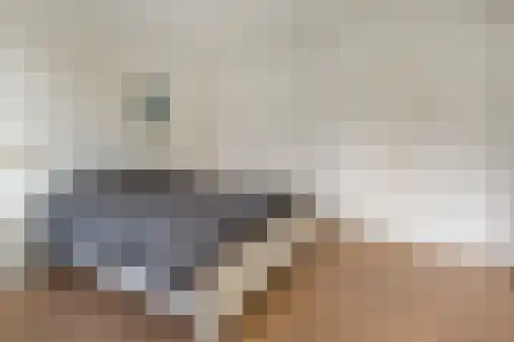 Assumburg 14 Landsmeer thumbnail 28