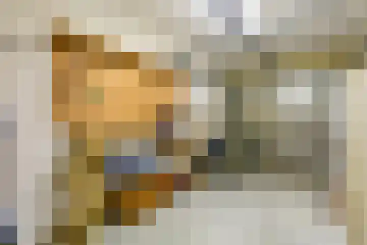 Assumburg 14 Landsmeer thumbnail 37