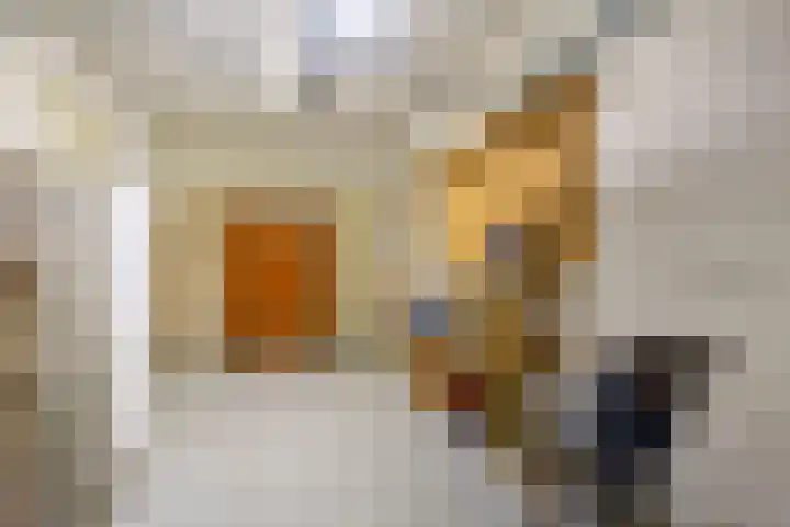 Assumburg 14 Landsmeer thumbnail 38
