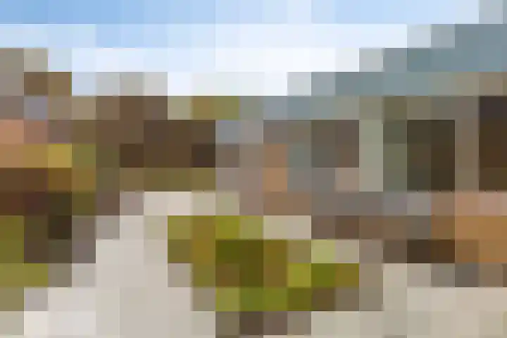 Assumburg 14 Landsmeer thumbnail 39