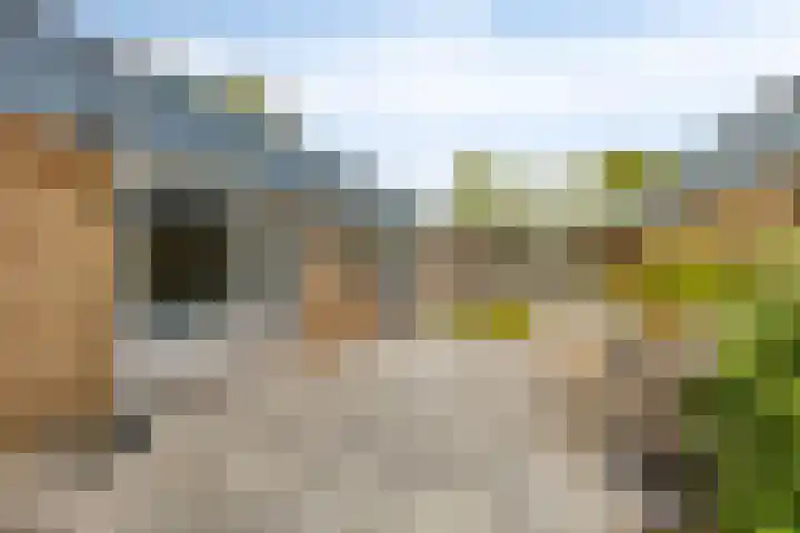 Assumburg 14 Landsmeer thumbnail 41