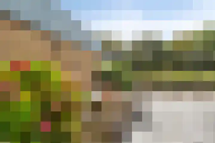 Assumburg 14 Landsmeer thumbnail 43