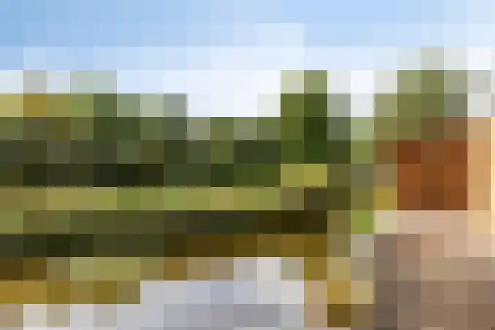 Assumburg 14 Landsmeer thumbnail 44