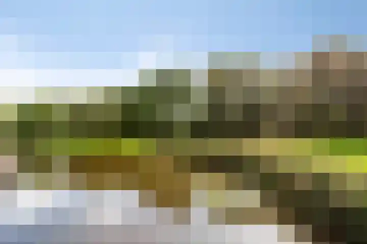Assumburg 14 Landsmeer thumbnail 45