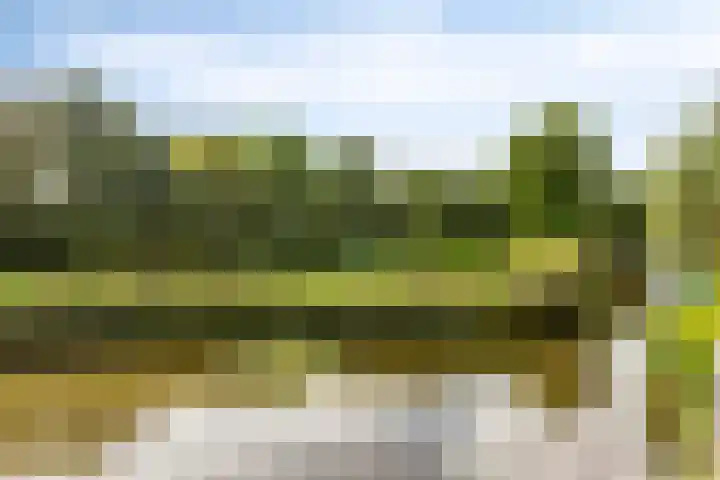 Assumburg 14 Landsmeer thumbnail 46