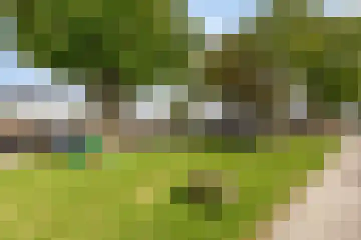 Assumburg 14 Landsmeer thumbnail 47