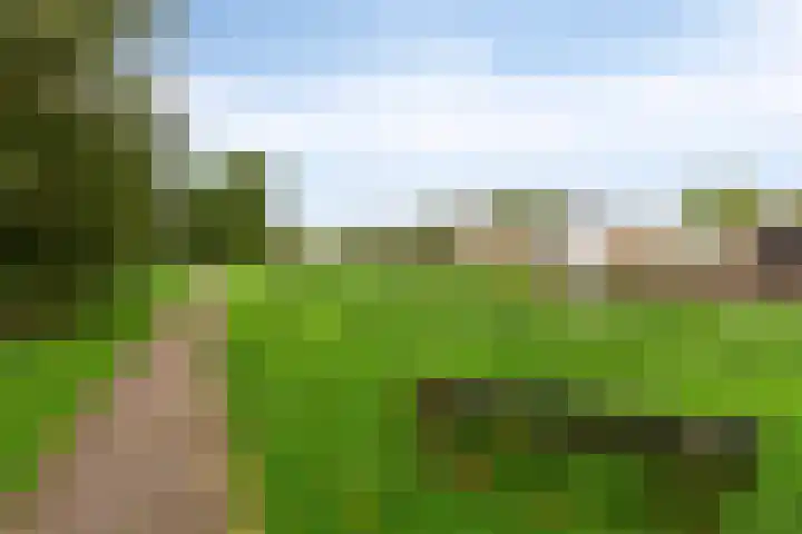 Assumburg 14 Landsmeer thumbnail 48