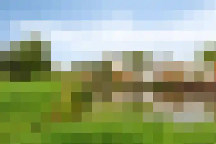 Assumburg 14 Landsmeer thumbnail 49