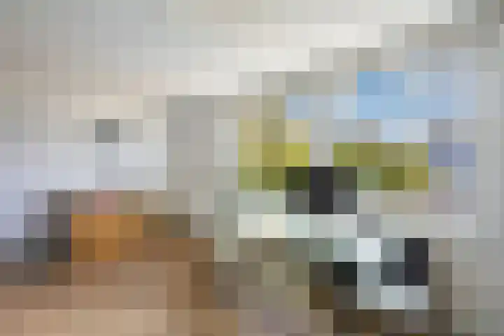 Assumburg 15 Landsmeer thumbnail 10