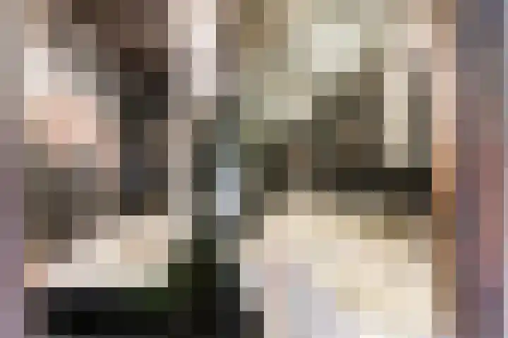 Assumburg 15 Landsmeer thumbnail 12