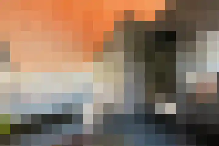 Assumburg 15 Landsmeer thumbnail 16