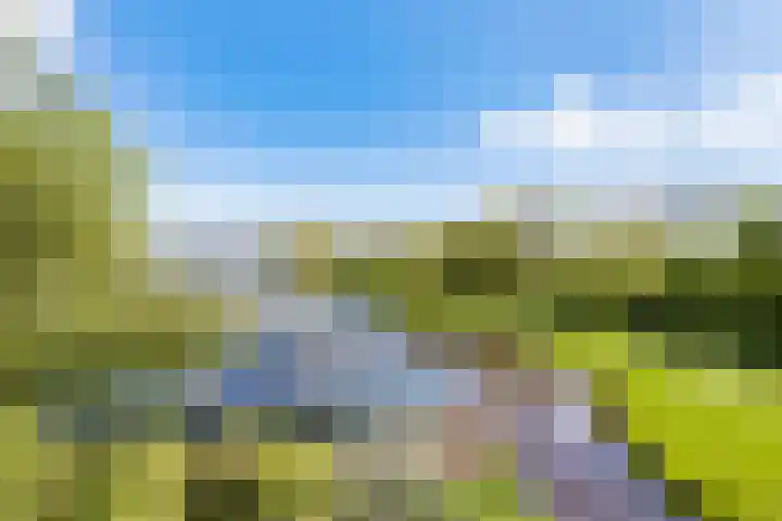 Assumburg 15 Landsmeer thumbnail 20