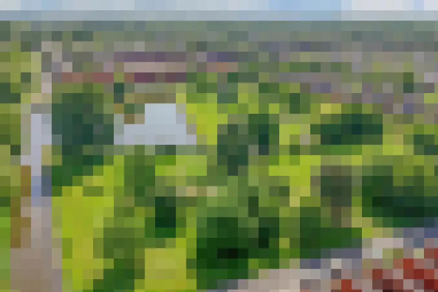 Assumburg 15 Lelystad thumbnail 5