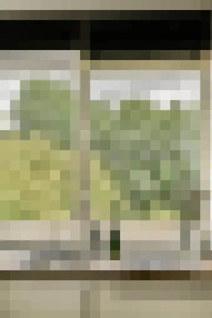 Assumburg 17 Amsterdam thumbnail 14