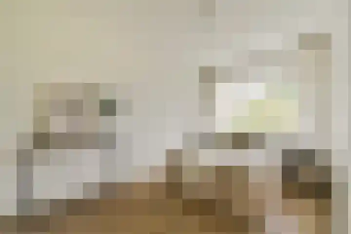 Assumburg 17 Amsterdam thumbnail 16