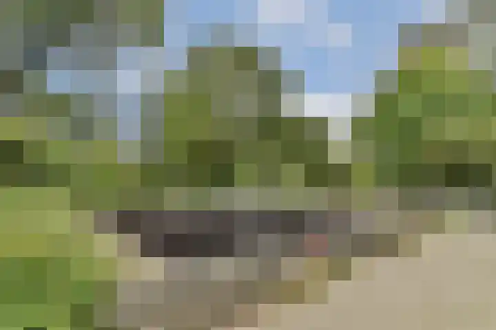 Assumburg 17 Amsterdam thumbnail 31
