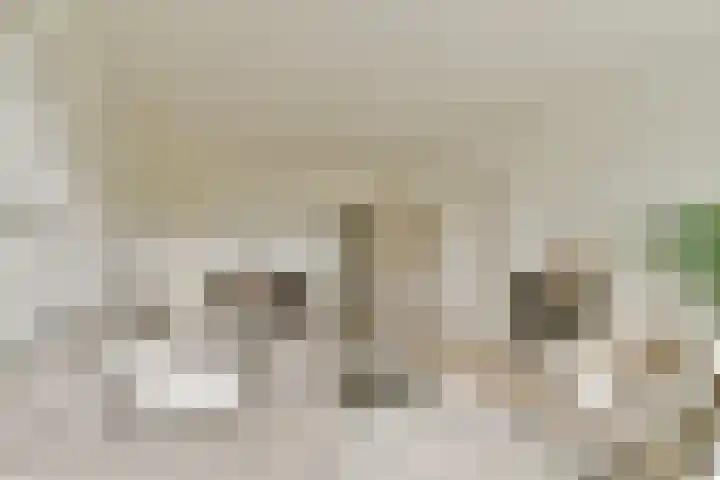 Assumburg 17 Amsterdam thumbnail 4