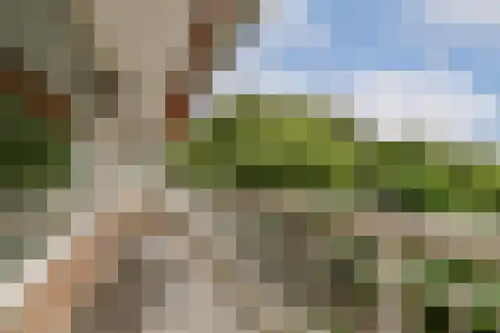 Assumburg 17 Amsterdam thumbnail 8