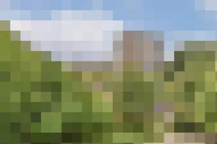 Assumburg 17 Amsterdam thumbnail 9