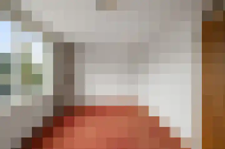 Assumburg 17 Landsmeer thumbnail 18