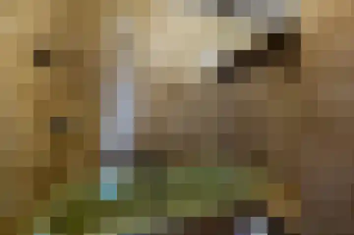 Assumburg 17 Landsmeer thumbnail 23