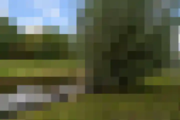 Assumburg 17 Landsmeer thumbnail 40