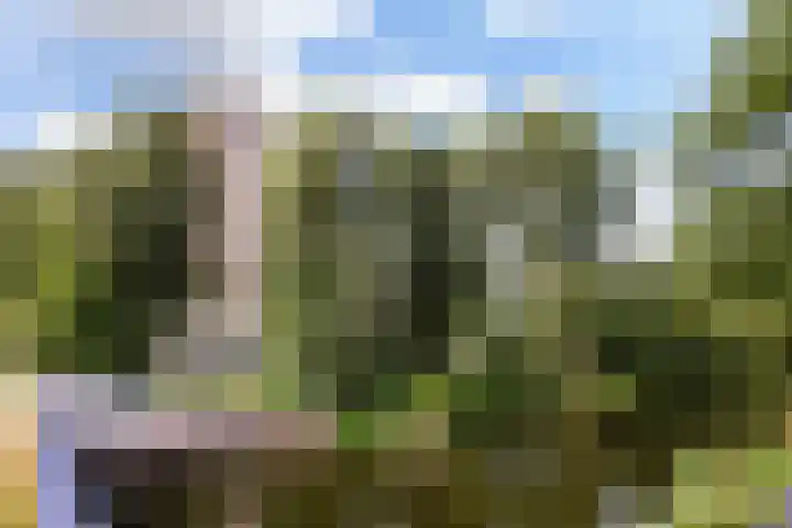 Assumburg 32 Amsterdam thumbnail 25