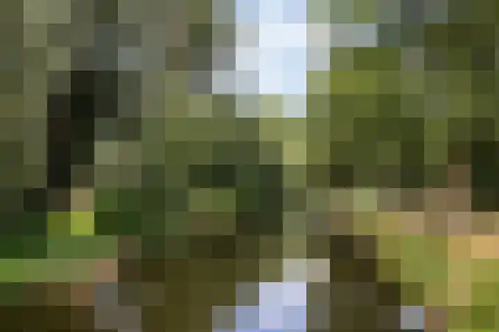 Assumburg 32 Amsterdam thumbnail 26