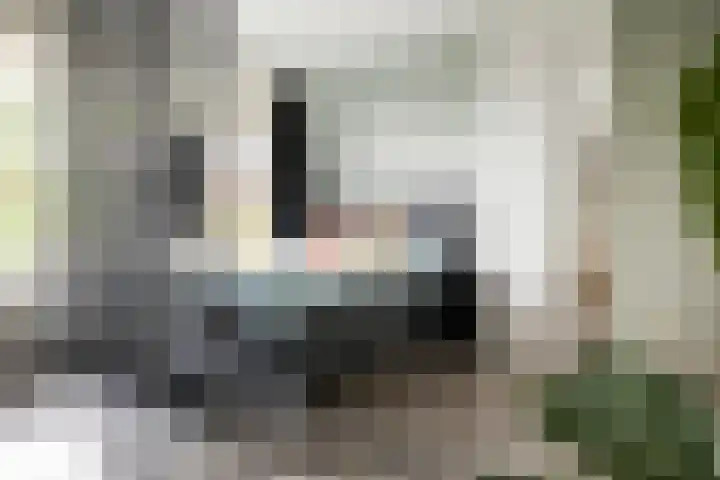 Assumburg 32 Amsterdam thumbnail 5