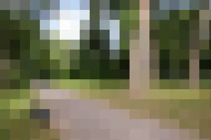 Assumburg 32 Amsterdam thumbnail 6
