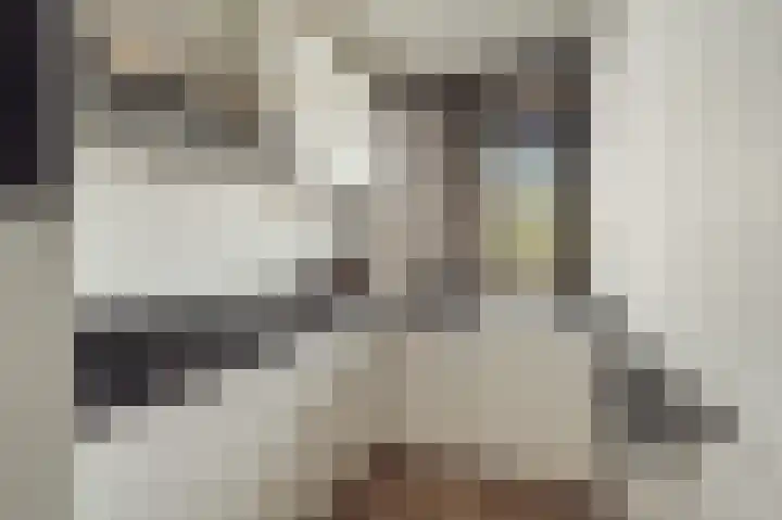 Assumburg 33 Amsterdam thumbnail 7