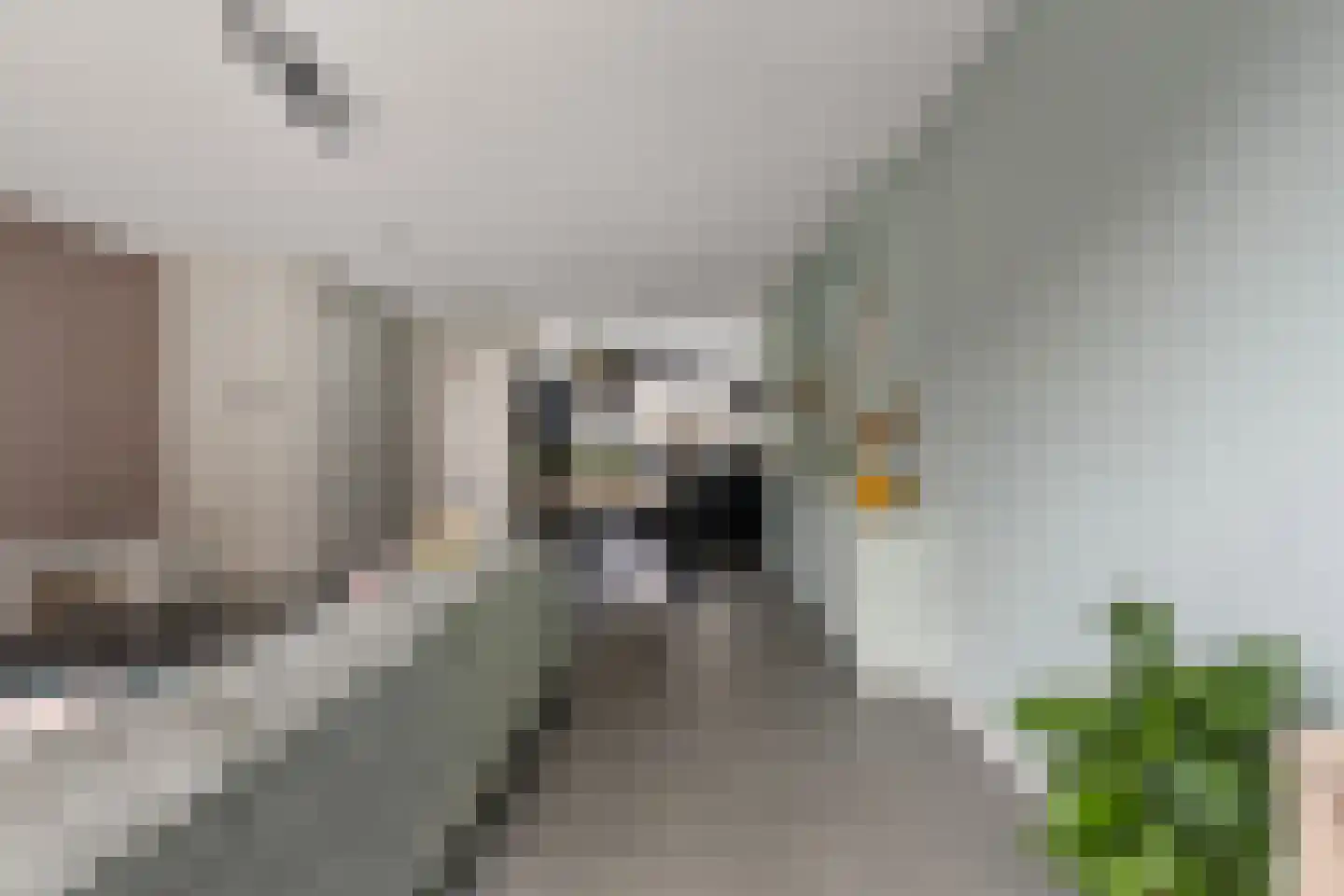 Assumburg 35 Hoofddorp thumbnail 17