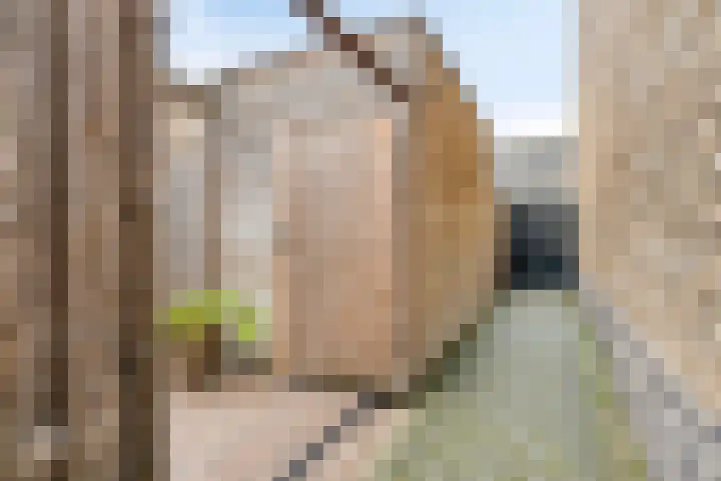 Assumburg 35 Hoofddorp thumbnail 46