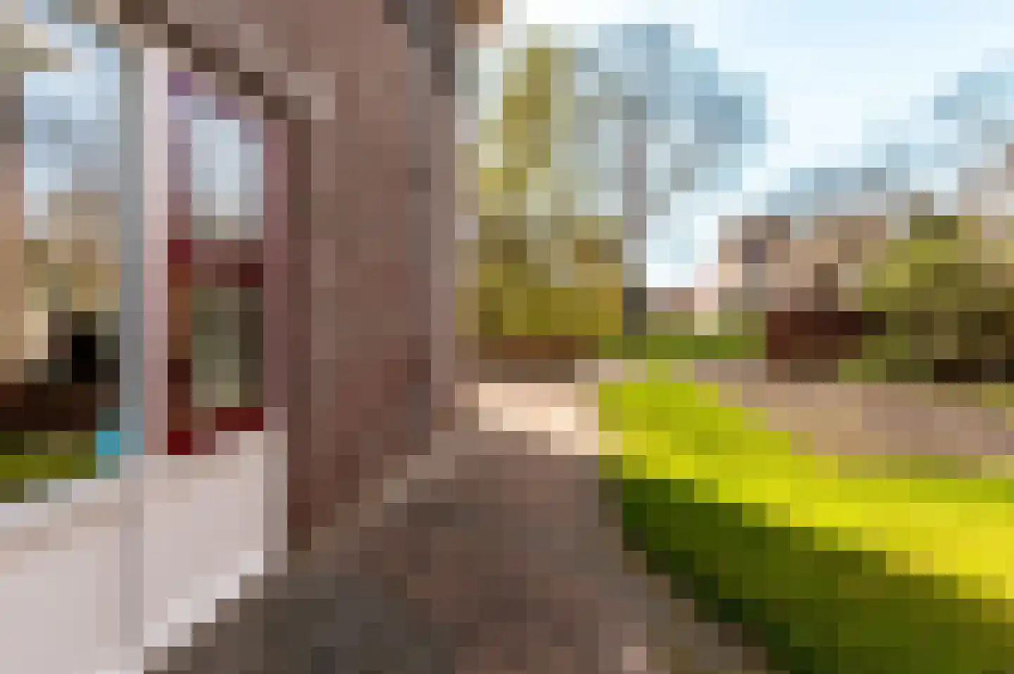 Assumburg 47 Lelystad thumbnail 43