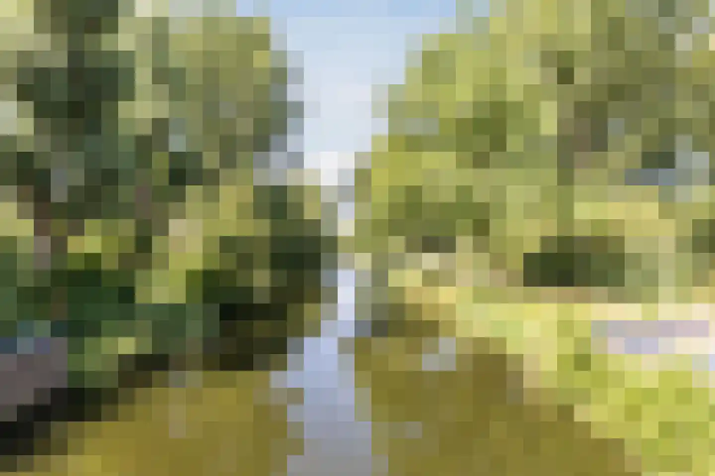 Assumburg 50 Amsterdam thumbnail 4