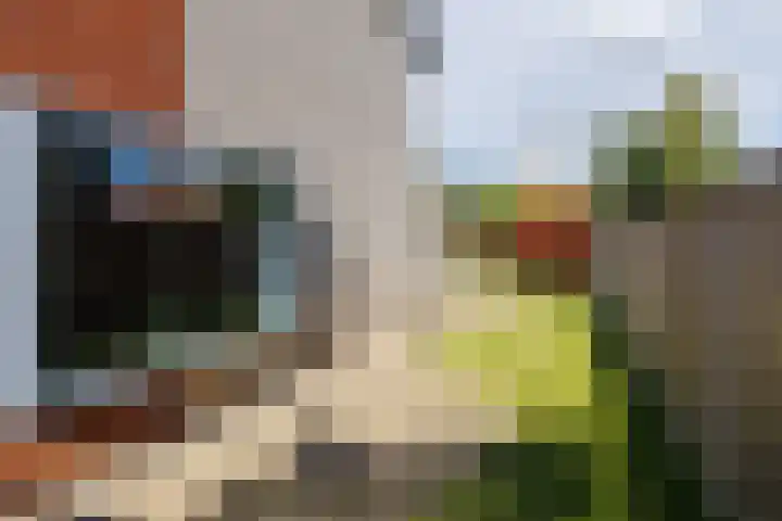 Assumburg 61 Lelystad thumbnail 49