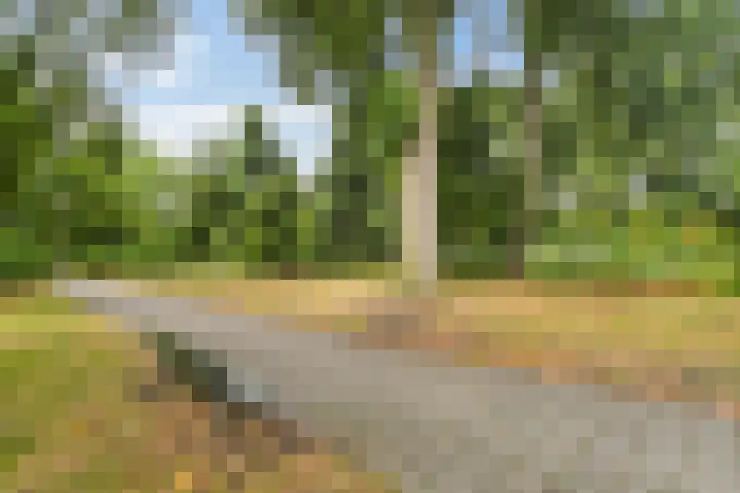 Assumburg 78 Amsterdam thumbnail 31