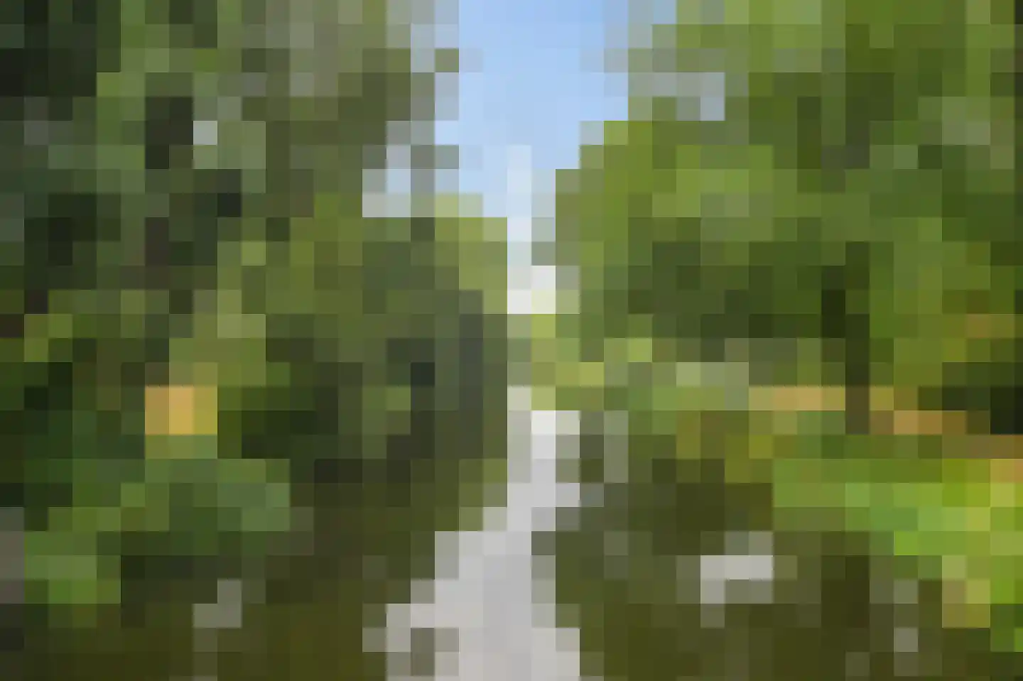 Assumburg 78 Amsterdam thumbnail 32
