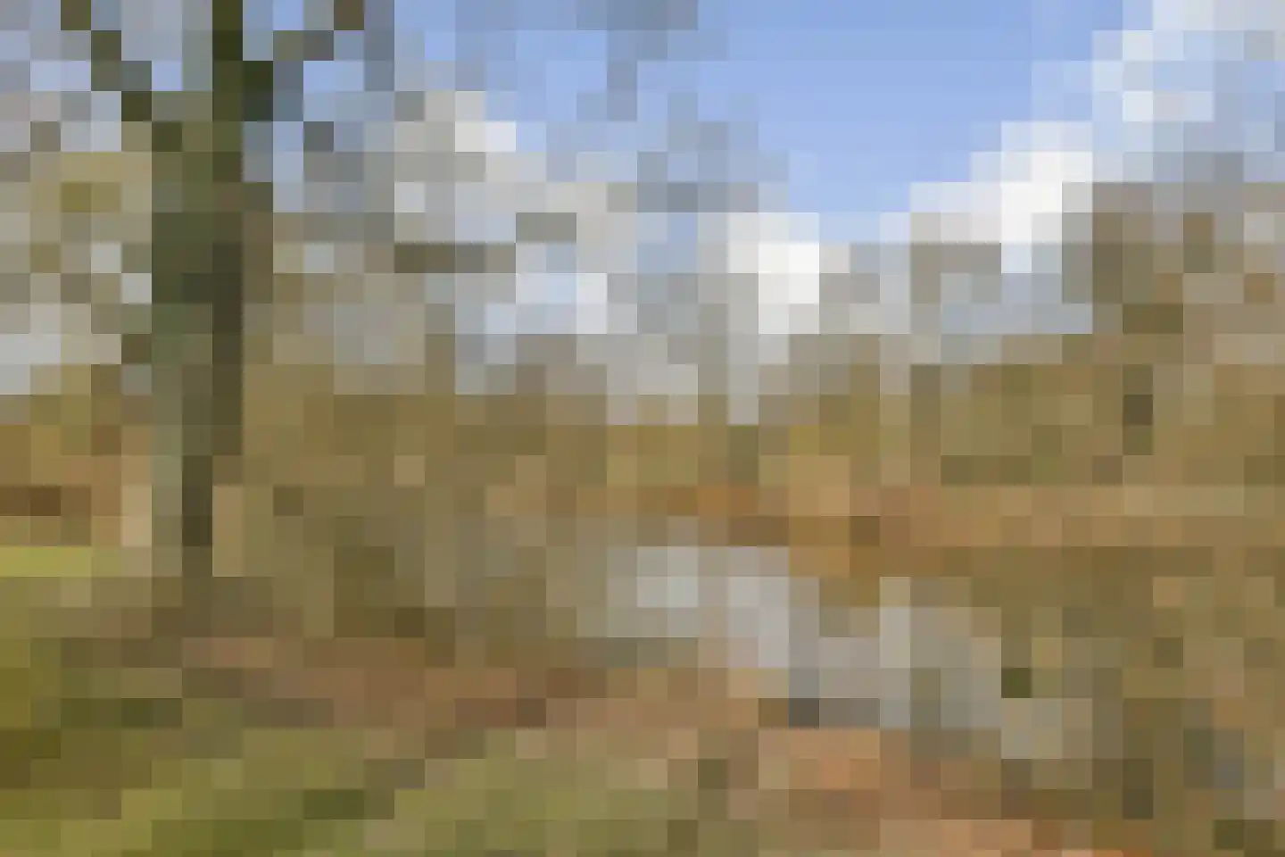 Assumburg 9 Amsterdam thumbnail 20