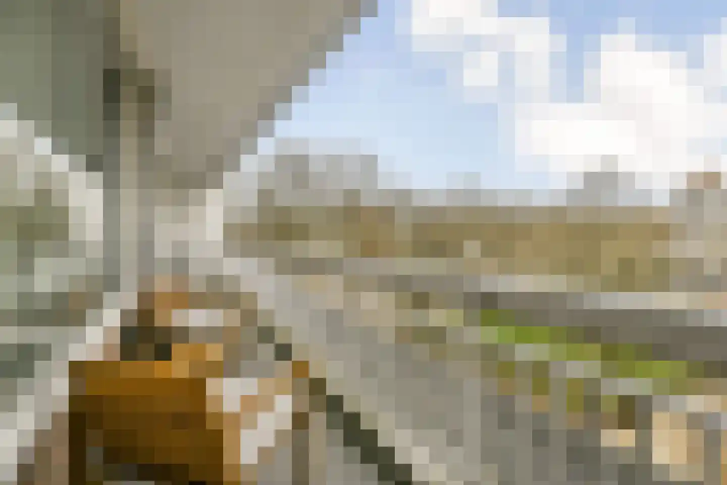 Assumburg 9 Amsterdam thumbnail 9