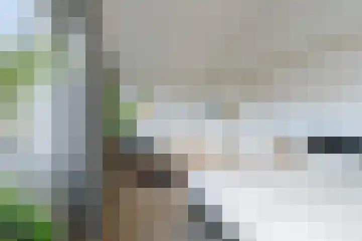 Assumburg 94 Dordrecht thumbnail 19