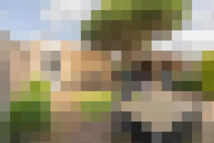 Assumburgh 21 Hillegom thumbnail 14