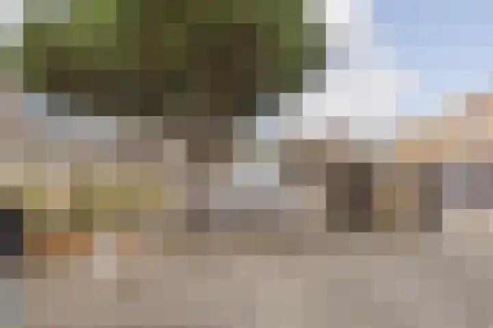Assumburgh 21 Hillegom thumbnail 19