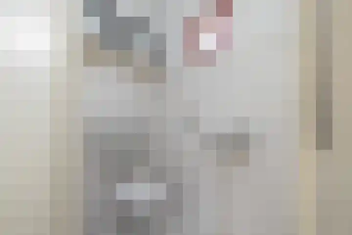 Assumburgh 21 Hillegom thumbnail 39