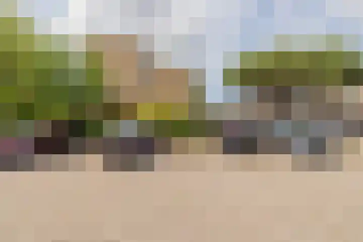 Assumburgh 21 Hillegom thumbnail 45