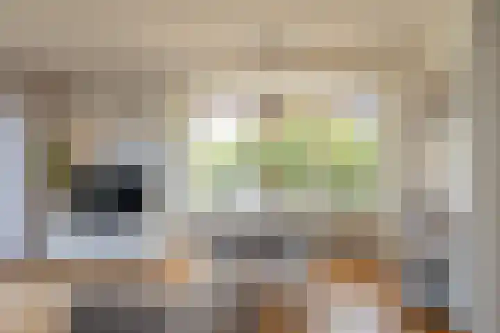 Assumburgh 21 Hillegom thumbnail 5