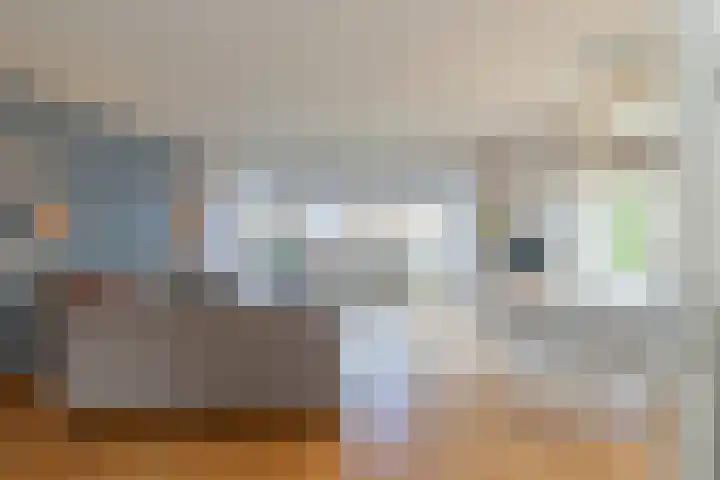 Assumburgh 21 Hillegom thumbnail 7